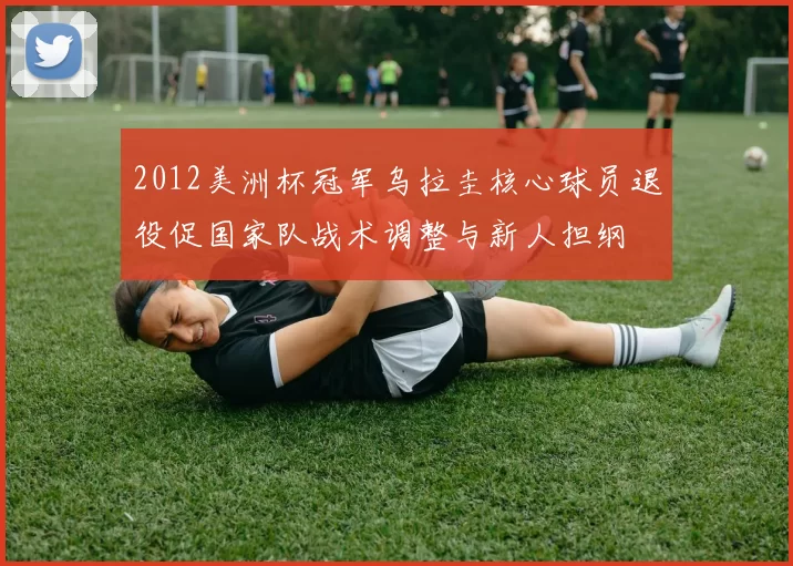 2012美洲杯冠军乌拉圭核心球员退役促国家队战术调整与新人担纲