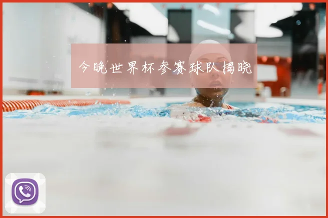今晚世界杯参赛球队揭晓
