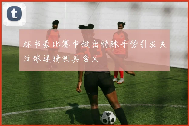 林书豪比赛中做出特殊手势引发关注球迷猜测其含义
