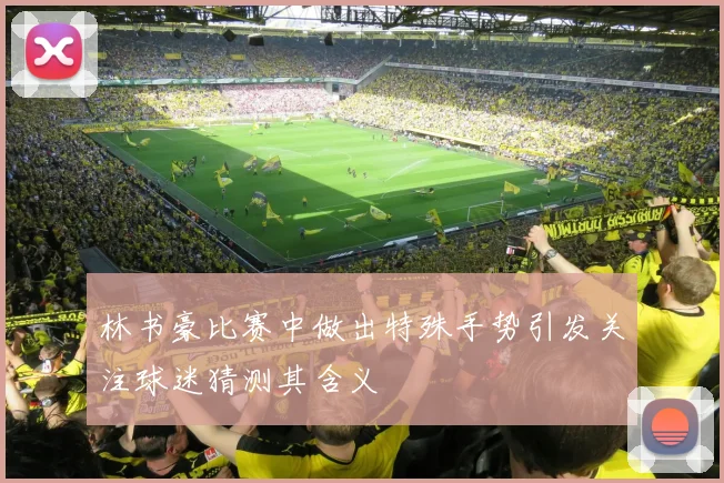 林书豪比赛中做出特殊手势引发关注球迷猜测其含义