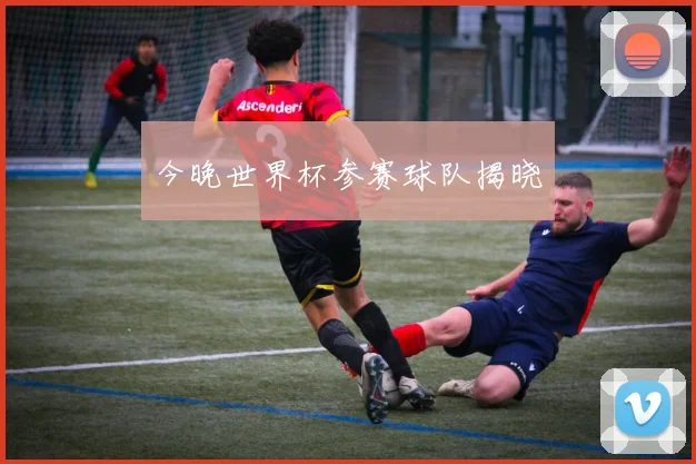 今晚世界杯参赛球队揭晓